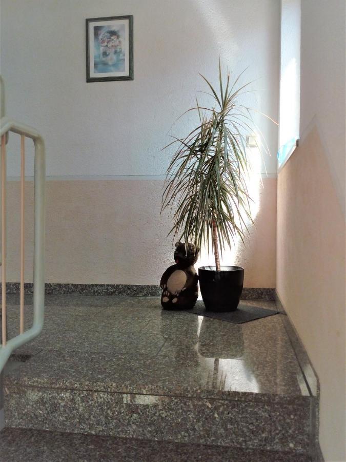 Ferienwohnung Jungbaer - Die Wohlfuehl-Adresse Im Stangenwald Санкт-Ингберт Экстерьер фото